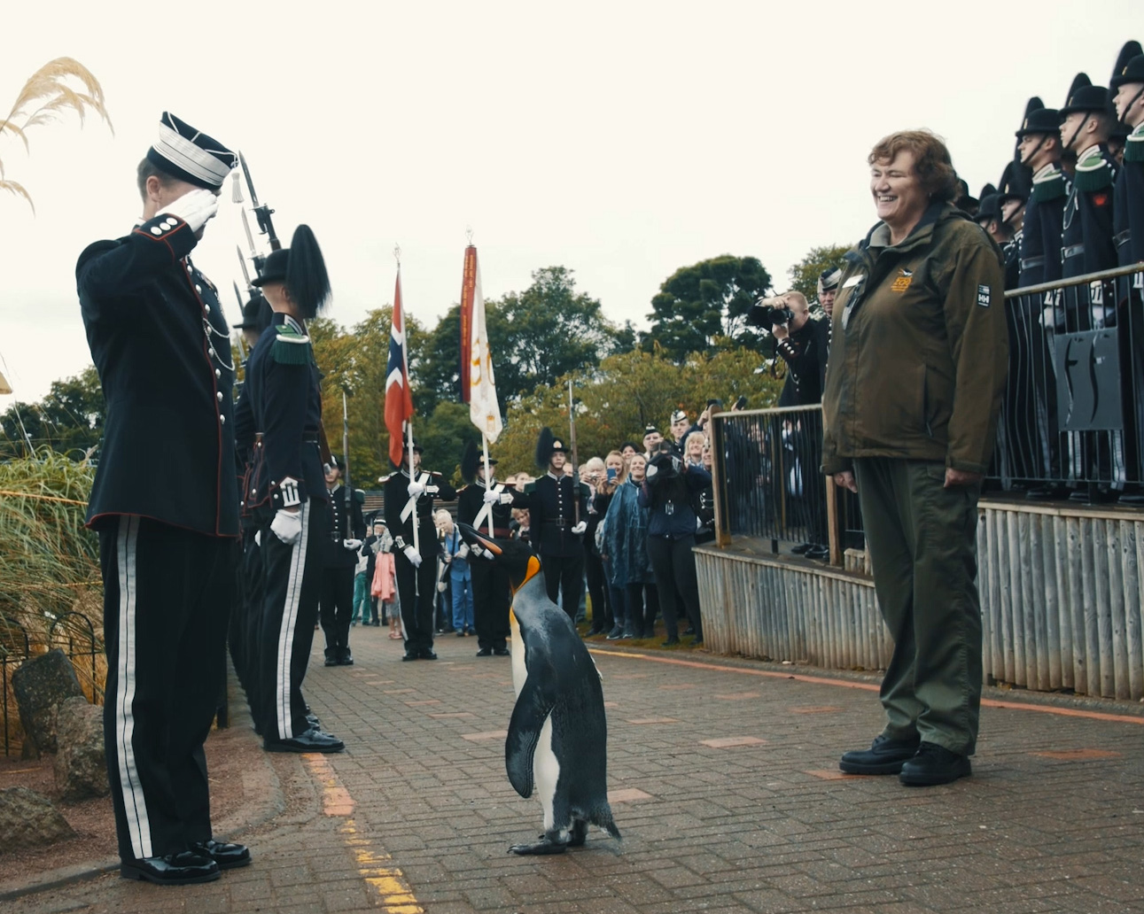 Sir Nils Olav Emperor Penguin